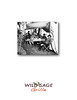 Paul Horsted > Imagenation print job >  men